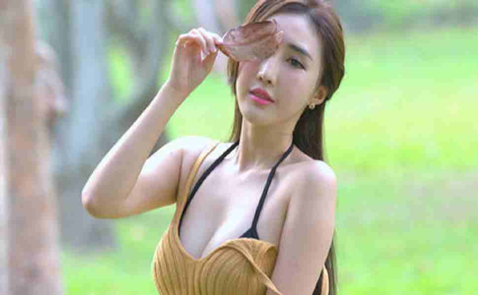 站群和蜘蛛池原理